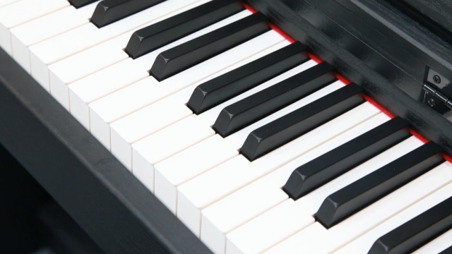 鍵盤楽器 NightVerb Erica Synths - Nightverb