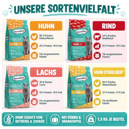 Ansicht 8