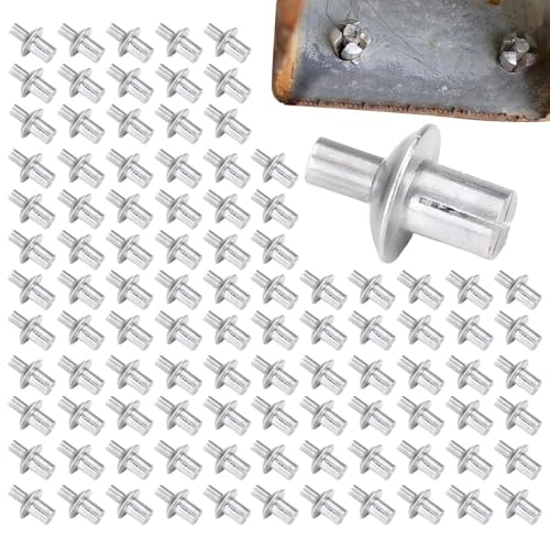200pcs Aluminum Blind Rivet, Hammer Drive Rivets, Half Round Head Hammer Drive Blind Rivets, Aluminum Core Rivets, Knock Type Expansion Rivets for Home, Electronic, Precision (100pcs)