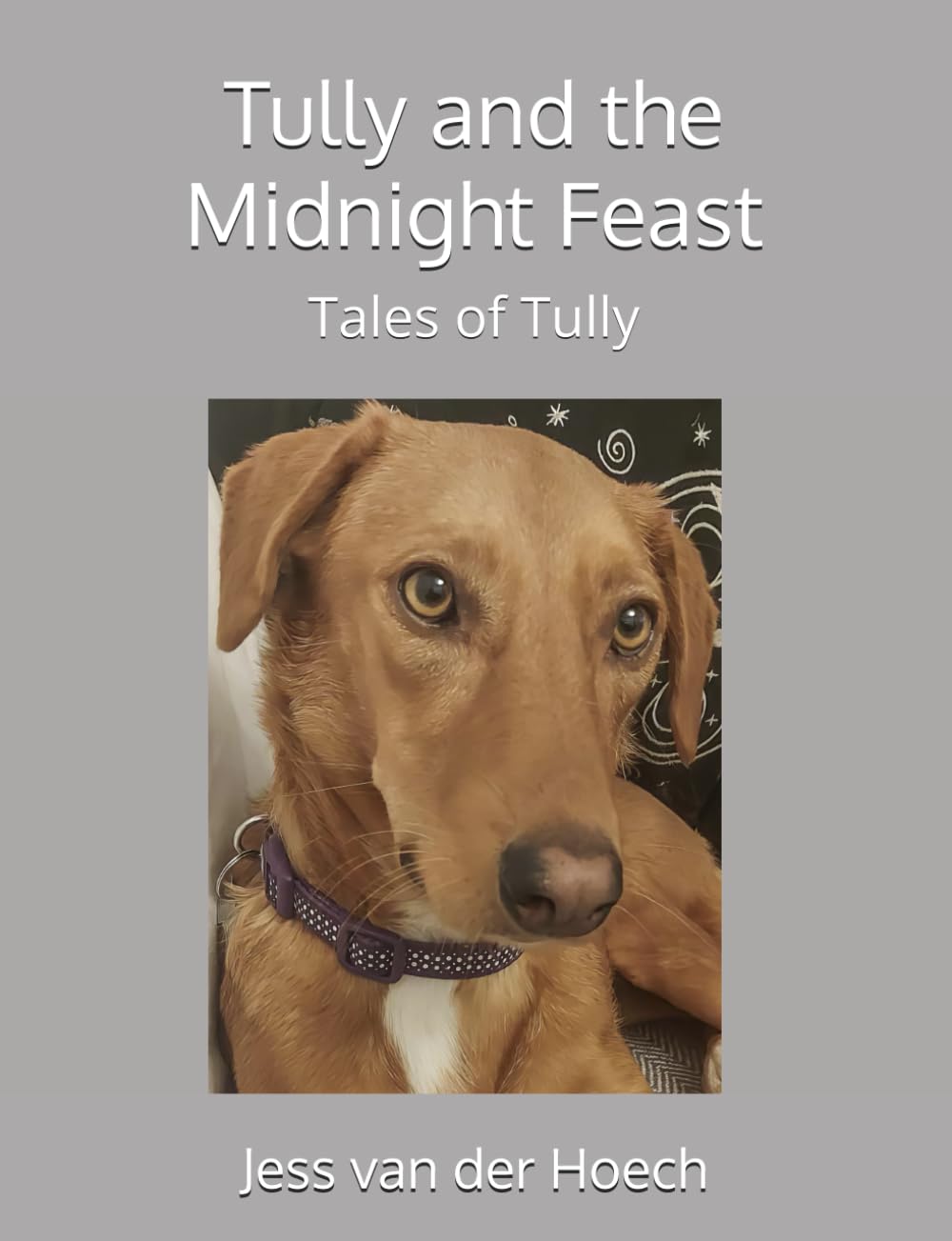 Tully and the Midnight Feast: 5 (Tales of Tully)