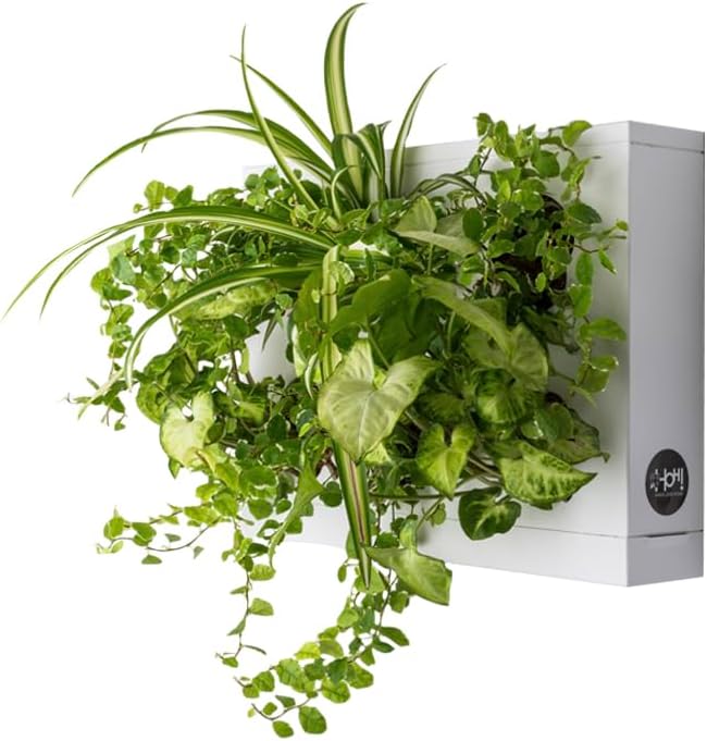 Ortis Green Hang.Oasi.Home - Indoor Vertical Garden, Contains 1 White Planter Unit, Design Your Own Living Wall With Vertical Gardening Planters, Use Indoors, Holds 6 Plants