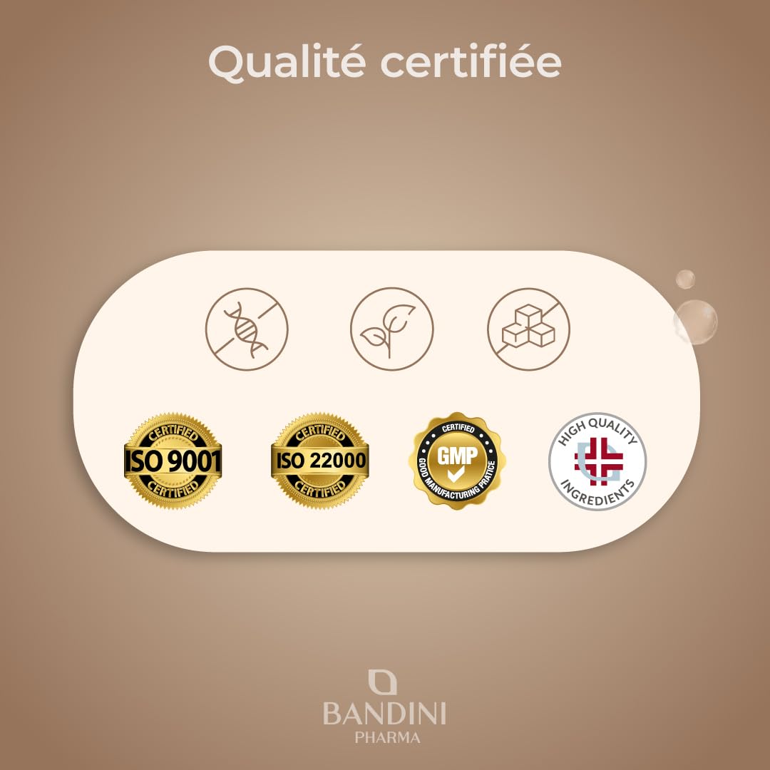 Bandini® Chaga champignon 366 comprimés | Polypore oblique - Inonotus Obliquus | Complément riche en antioxydants et polyphénols | Pour l'équilibre quotidien | Jusqu'à 1000mg par dose - Chaga Mushroom