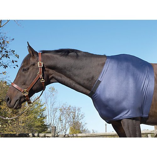 Equiessentials Stretch Shoulder Guard M Black