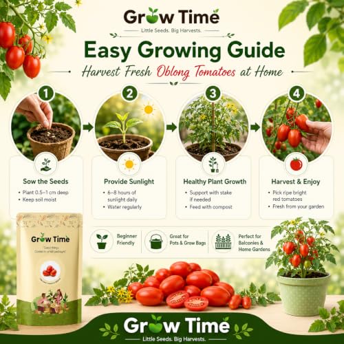 Image of Oblong Tomato Vegetable Seeds, Vegetable Seeds for Home Gardening, Vegetable Planting Seeds for Kitchen, Tomato Seeds (Pack of 2g)