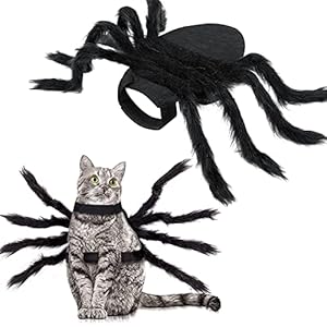 Disfraz de araña de Halloween, Decoraciones de mascota, ropa de cosplay ajustables para perros y gatos pequeños y medianos