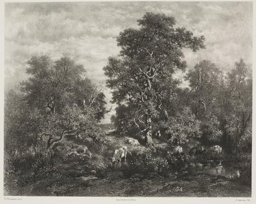 Lienzo lo stagno dopo Théodore Rousseau de Jules Augustin Laurens, pintura premium de 60x90
