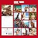 2026 Square Wall Calendar - Hunks in Trunks 12 x 12 Inch Monthly View, 16-Month, Unveiled Theme, Includes 180 Reminder Stickers