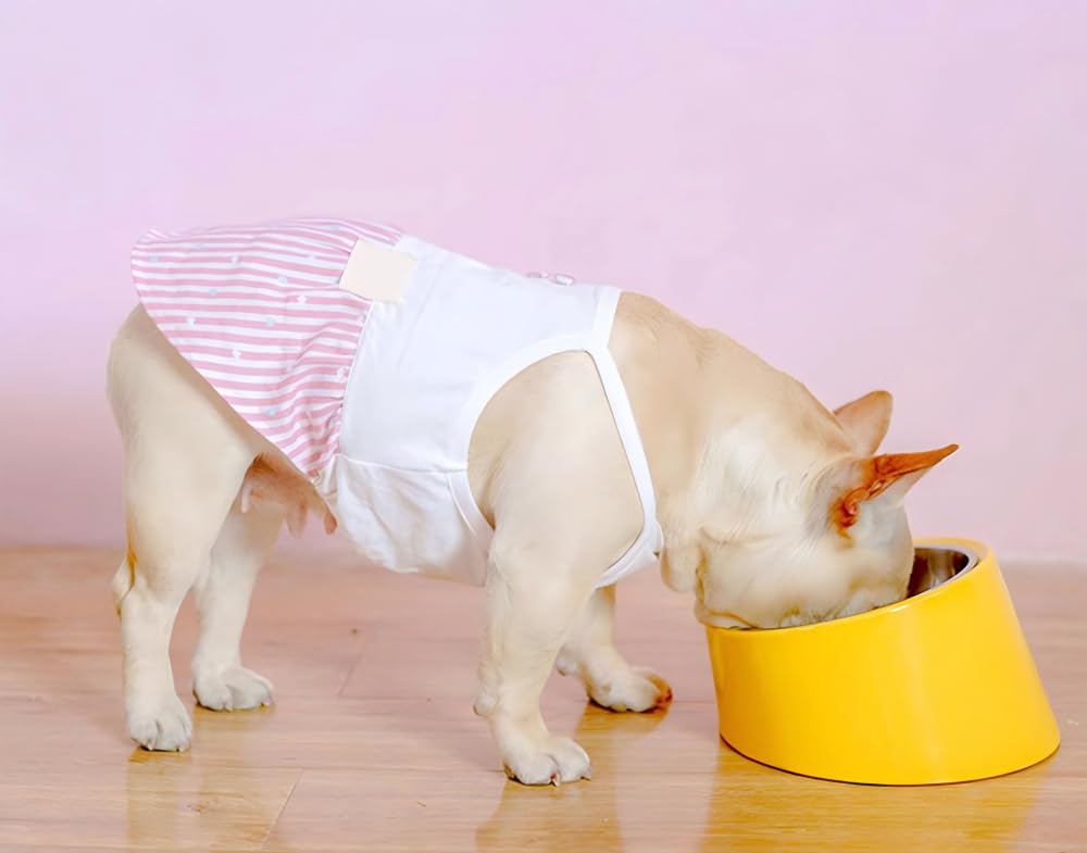 Tokyia 犬用食器 猫用食器 ペット用ボウル ステンレス製、サービングディッシュスタンド 角度15度 食事の準備が楽になります 取り外し可能 お手入れ簡単 食洗機対応, 15.4x8cm (Light green)