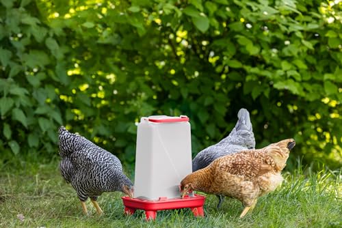Fornitura affidabile del mangime: La mangiatoia automatica per galline offre un’alimentazione automatica che garantisce ai vostri animali una fornitura omogenea e affidabile del mangime. Così le vostre galline hanno sempre accesso a mangime fresco.