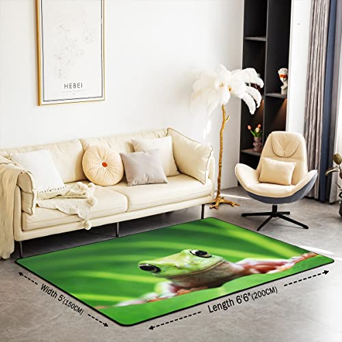 Loussiesd Frog Rugs for Living Room Bedroom Full Kawaii Decor Area Rug for Kids Tropical Amphibian Indoor Floor Mat Teens Animal Print Green Accent Rug 150 * 200cm - Image 2