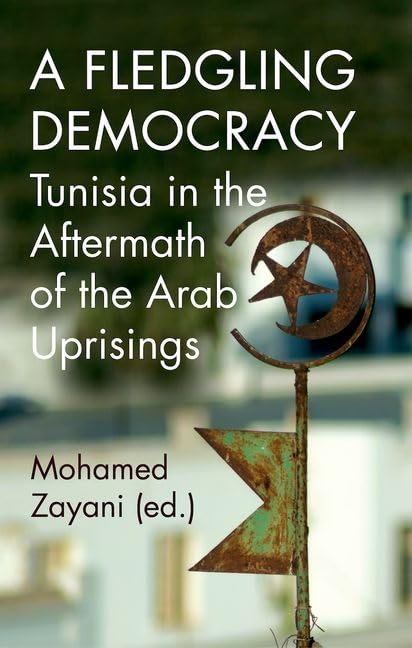 A Fledgling Democracy: Tunisia in the Aftermath of the Arab Uprisings