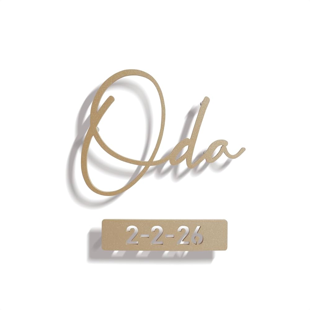 仲上さま表札いかがですか？ Amazon.co.jp: 表札AKIグラスショップ 表札 ステンレス [文字数