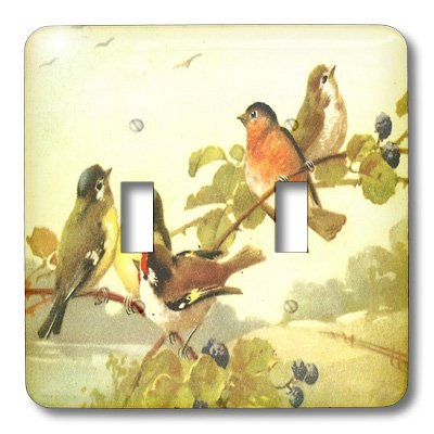 Placa de interruptor doble artística 3dRose con ilustración botánica de pájaros 3