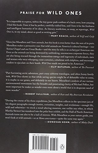 Wild Ones: A Sometimes Dismaying, Weirdly Reassuring Story About Looking at People Looking at Animal