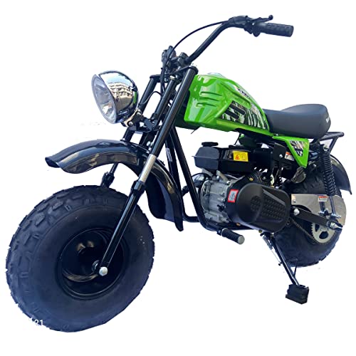 10 Best 10 Mini Bike Picks For 2021 of 2022