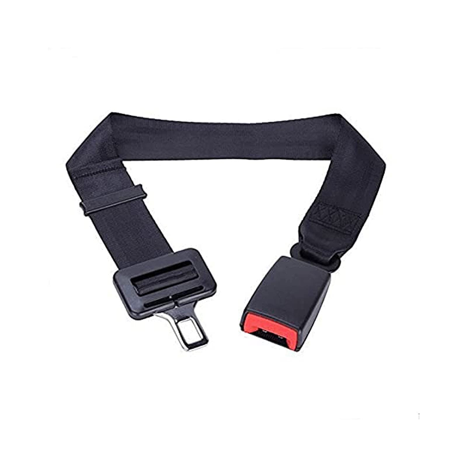 Divine Studio Beautiful Bird Art Decorative Multicolor Sticker