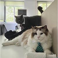 Vista 7 de 4 piezas para mascotas, perro, gato, corbatín, disfraz de mascota, ajustable, collar formal para gatos, perros pequeños, accesorios de aseo