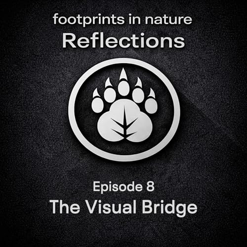 8 - The Visual Bridge: Bringing the Unreachable Beauty of Nature Home