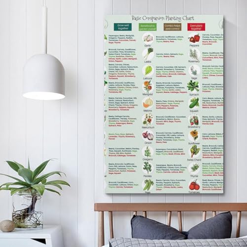 Image of GHJFDF Basic Companion Planting Chart Poster Garden Planting Types Reference Guide Wall Poster for Room Aesthetic Posters 12x18inch(30x45cm)