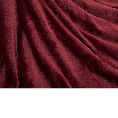 Pavilia Plush Sherpa Fleece Blanket Throw, Twin, Burgundy Red | Soft, Warm, Fuzzy Wine Maroon Throw For Couch Sofa | Solid Reversible Cozy Microfiber Fluffy Blanket, 60X80 #TOP4