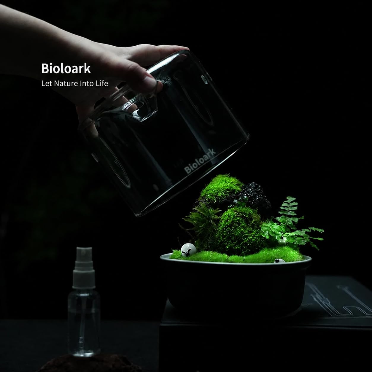 Amazon.co.jp: Bioloark MY-150K ガラスポット 苔テラリウム 容器