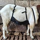 Zoom IMG-1 grembiule anti allevamento di pecore Zoom IMG-1 grembiule anti allevamento di pecore