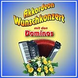 Akkordeon Wunschkonzert (18 Akkordeon Hits)