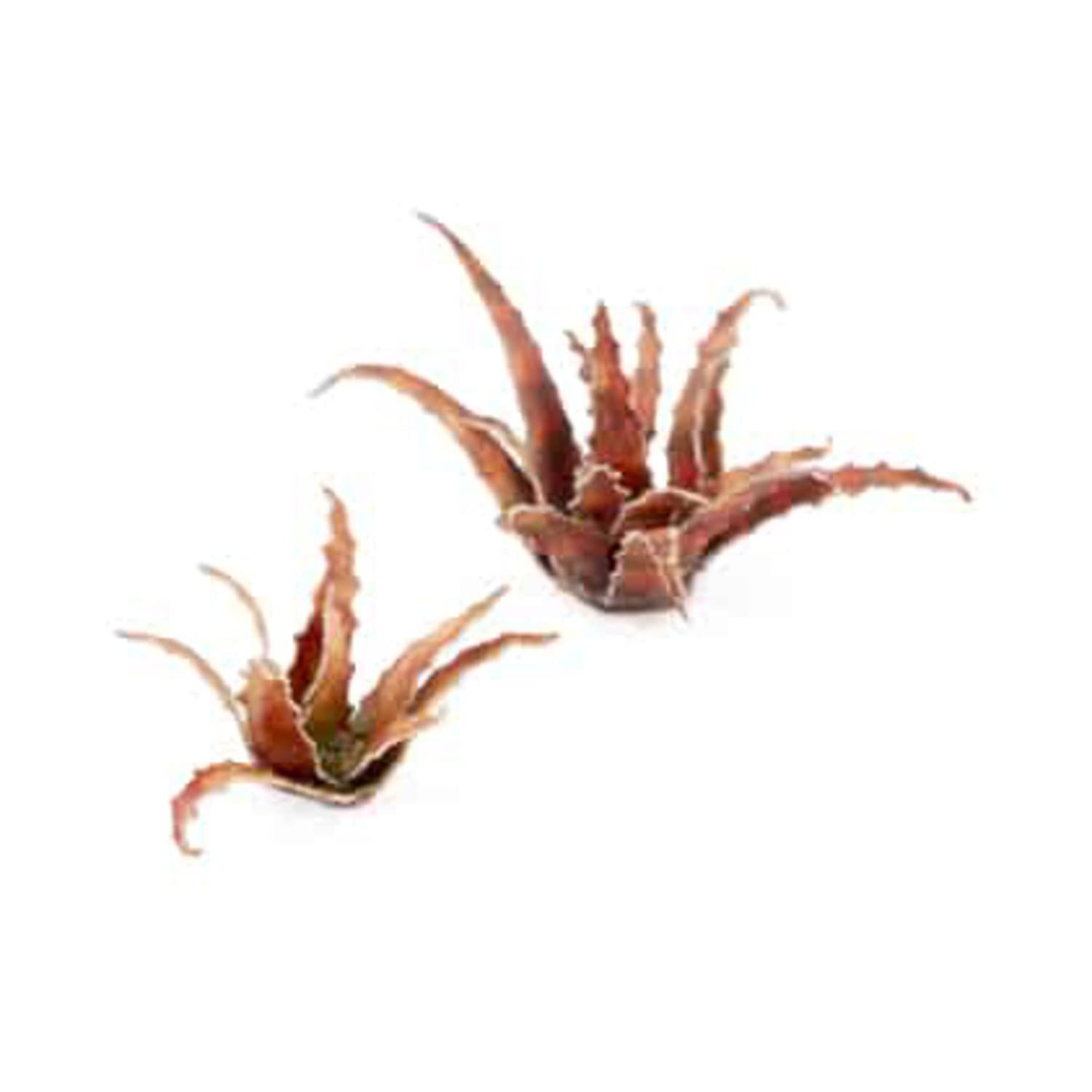 Gamers Grass Laser Cut Plants - Red Aloe (Wargame / Model Basing)