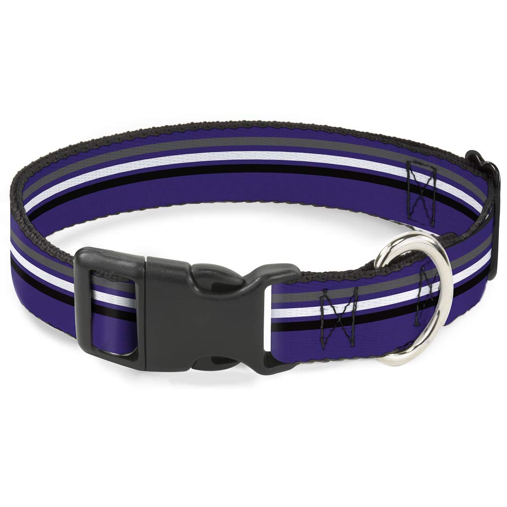 Collier rayures de course pour les promenades urbaines des grands chiens