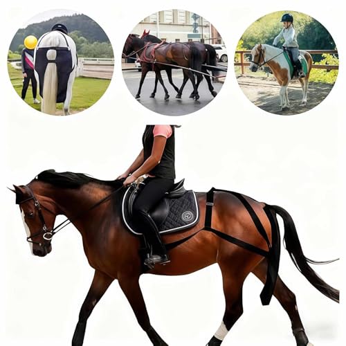 Solucion de almacenamiento de estiercol de caballo para calles limpias 3