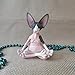 LXXGOLUCY Wohnkultur Sphynx Katze meditieren Sammlerstück Figuren Miniatur Buddha Katze Figur Tier Modell Puppe Spielzeug Haarlose Katze Figur (Farbe : Pink Grey)