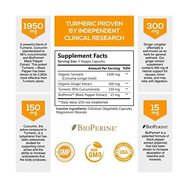 Turmeric-Curcumin-with-BioPerine-Ginger-95-Curcuminoids-1950mg-Black-Pepper-for-Absorption-Made-in-USA-Natural-Immune-Support-Turmeric-Ginger-Supplement-by-Natures-Nutrition-120-Capsules Turmeric Curcumin with BioPerine & Ginger 95% Standardized Curcuminoids 1950mg - Black Pepper for Max Absorption, Herbal Joint Support, Natures Tumeric Extract Supplement Non-GMO - 120 Capsules