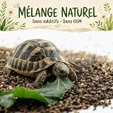 Alejandro Fuentes graines à semer rapide 50 g, tortue terrestre photo 6