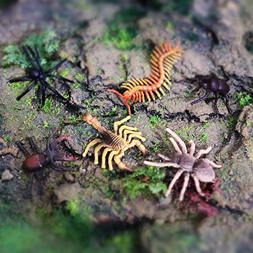 Rcomg 12 Pcs Small Realistic Insects Figures Toys, Plastic Wildlife Animal Fake Bug Toys Halloween Party Favor School Project Bug Figurines Set For Kids Toddlers #TOP3