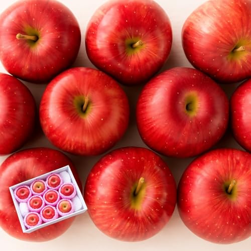 MBY  Tӂ Gi 蕨 p (5L)