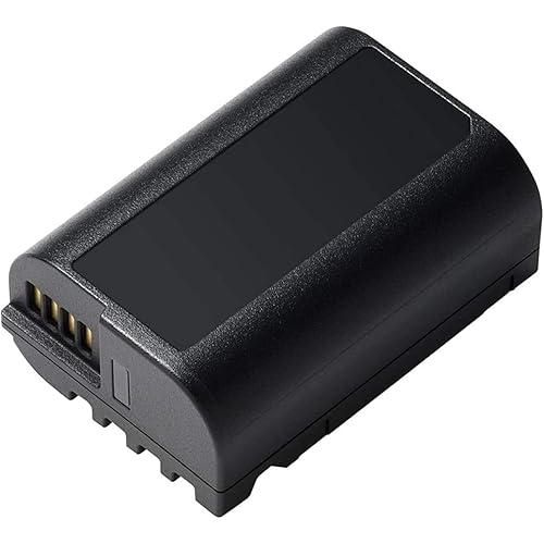 Panasonic LUMIX Lithium-Ion Battery Pack – DMW-BLK22