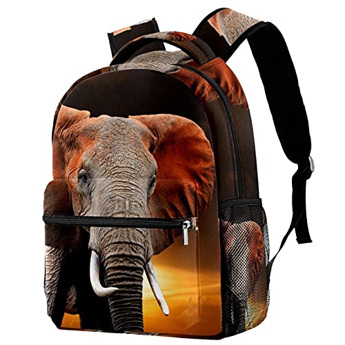 Kenya sac à dos grand volume bagage cabine motif éléphant solide