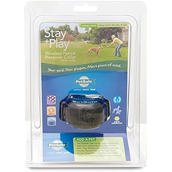 stay and play dog collar