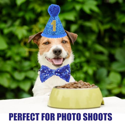 Set de disfraz de cumpleaños para perro con bufanda azul miniatura 7
