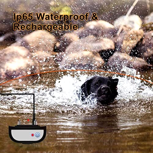 Wireless Dog Fence in Use Outdoors