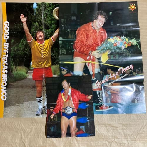 n 2669 テリーファンク／ドリー・ファンク・Jr／他 プロレス ポスター 切り抜き ３点セットのサムネイル