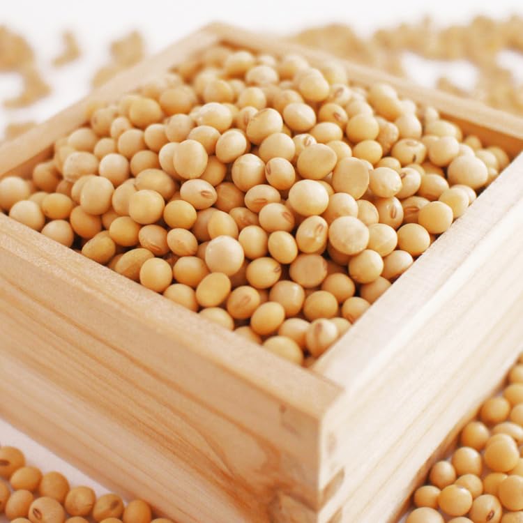Amazon.co.jp: 大豆 1kg フクユタカ 熊本県産 大粒 乾燥大豆 令和5年産