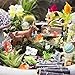 DIYDEC 40pcs Mini Resin Animal 40 Styles Tiny Resin Animals Miniature Little Small Animal Figures Bulk for Micro Fairy Garden Landscape Accessories Dollhouse Hide Crafts Decor Aquarium Toys