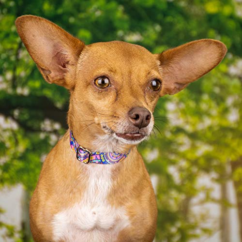 Country Brook Petz - Blue Boho Mandala Martingale Dog Collar - Groovy Collection With 11 Far Out Designs (1 Inch, Medium) #TOP4