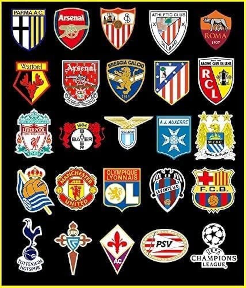 ドイツサッカー連盟　DFB、フェアプレイ ステッカー 2枚セット ドイツサッカー連盟 DFB、フェアプレイ ステッカー 2枚セット