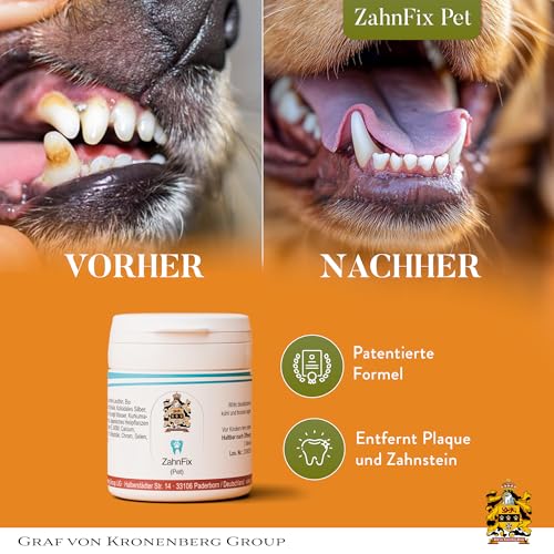 Pet ZahnFix Revital Liposomal Zahnpasta für Hunde und Katzen – 40ml natürliches Zahngel gegen Zahnstein & Zahnfleischentzündung – enzymatische Hundezahnpasta ohne Xylit mit Kurkuma, Kokosöl