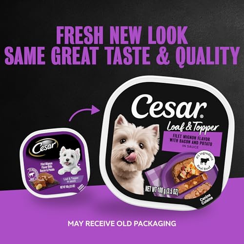 Image of Cesar Loaf & Topper Wet Dog Food, Filet, Bacon & Potato, 3.5 oz, 24 Count | Beef #1 ingredient, easy to digest, no fillers or added sugar, use as meal or food topper, easy peel trays