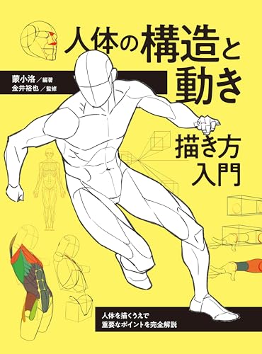 人体の構造と動き 描き方入門　人体を描くうえで重要なポイントを完全解説
