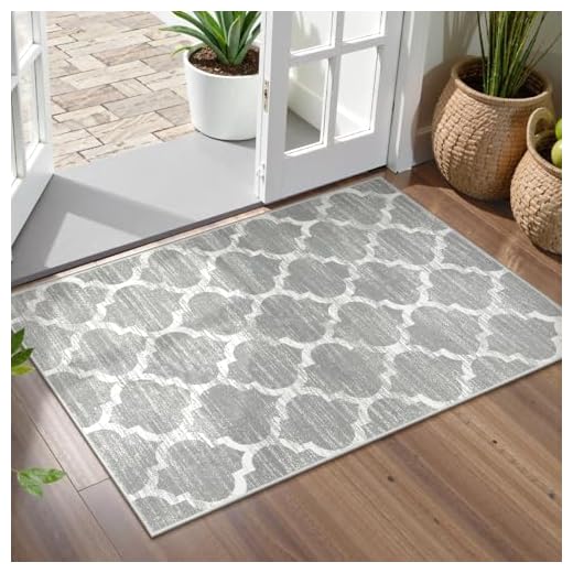 Lahome Moroccan Kitchen Rug - 2’x3’Washable Small Entryway Rug Accent Distressed Non-Slip Throw Area Rugs Floor Carpet Rug for Door Mat Bedroom Living Room Bath Laundry Room Rug Decor (2’ X 3’, Gray)