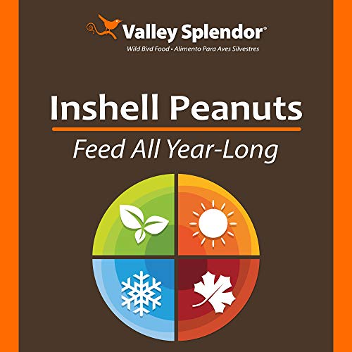 Red River Commodities 347 Peanuts In A Shell 3Lbs. #TOP3